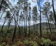 Naturaleza1