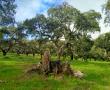 Naturaleza2