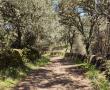 Naturaleza3