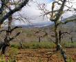 Naturaleza5