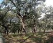 Naturaleza6
